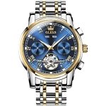 OLEVS 6607 Top Original Luxury Auto Mechanical Watch