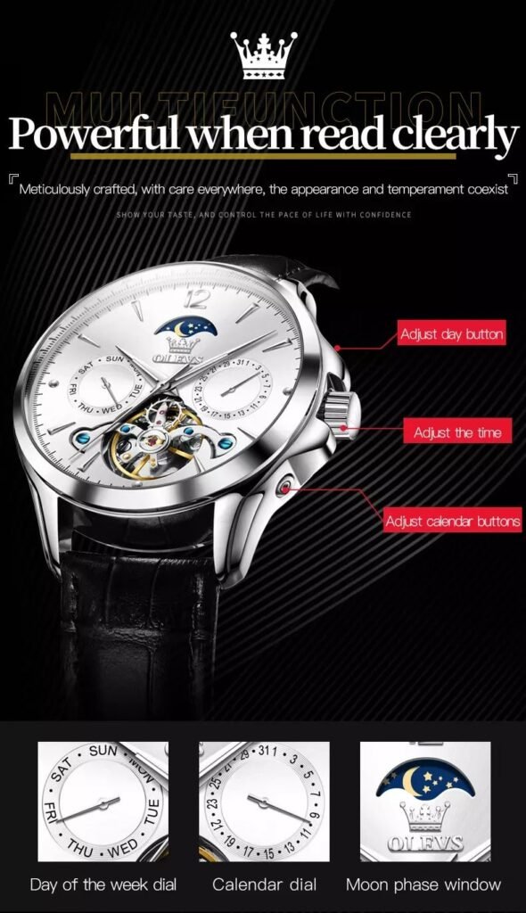 OLEVS 6663 High Quality Luxury Automatic Mechanical Watch - OLEVS WATCHES