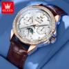 OLEVS 6695 Multifunctional Design Luminous Waterproof Fashion Leather Luxury Automatic Mechanical Watch for Man