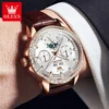 OLEVS 6695 Multifunctional Design Luminous Waterproof Fashion Leather Luxury Automatic Mechanical Watch for Man