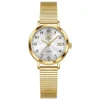 OLEVS 7130 Luxury Waterproof Luminous Design Fashion Calendar Sports Watch Stainless Steel Lady Woman Watch Gold White